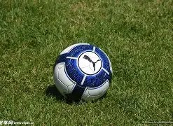 真人视讯,产品,BG真人视讯,BG真人视讯,BG真人,(Sports),BG视讯官网,BG真人官方平台