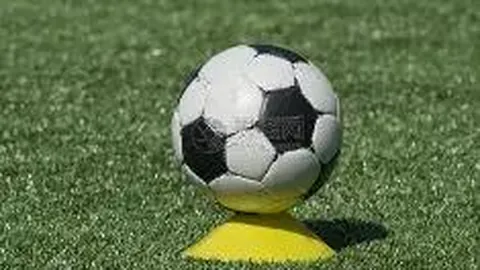 BG真人视讯 资讯 132038 yvb