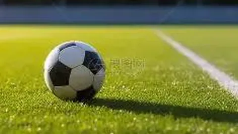 BG真人视讯 资讯 132111 6vt